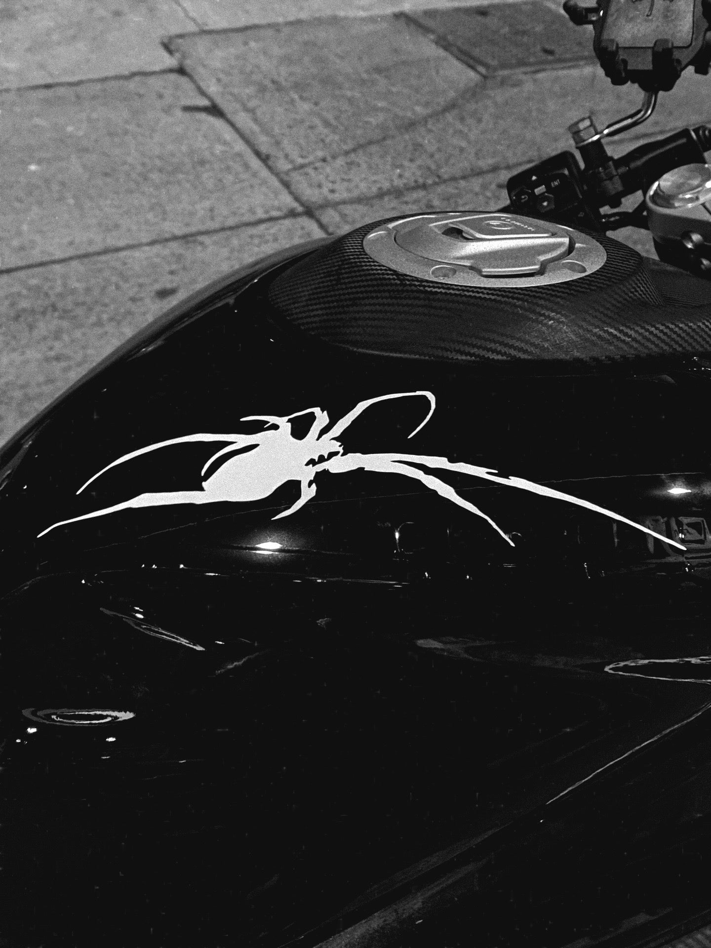 Spider sticker